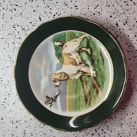 Regency English Setter Dog Pheasant Tea Green Cup Saucer Bone China England - Picture 4 of 7